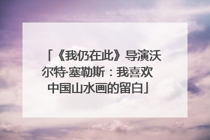 《我仍在此》导演沃尔特·塞勒斯：我喜欢中国山水画的留白