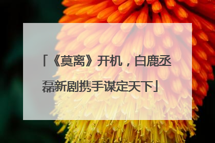 《莫离》开机，白鹿丞磊新剧携手谋定天下
