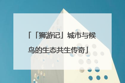 「狮游记」城市与候鸟的生态共生传奇