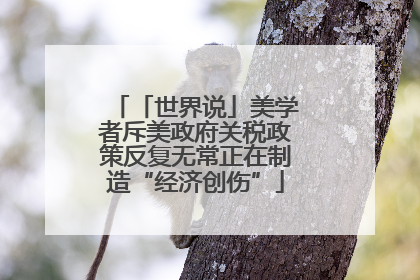 「世界说」美学者斥美政府关税政策反复无常正在制造“经济创伤”