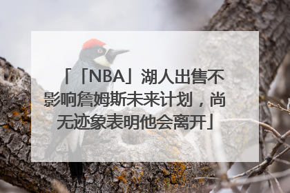 「NBA」湖人出售不影响詹姆斯未来计划，尚无迹象表明他会离开