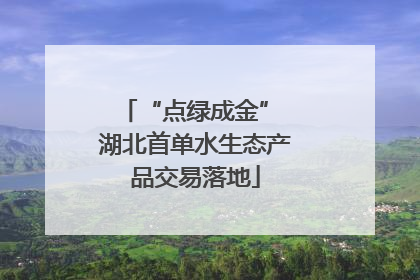 “点绿成金” 湖北首单水生态产品交易落地
