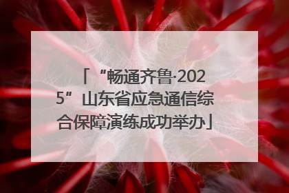 “畅通齐鲁·2025”山东省应急通信综合保障演练成功举办