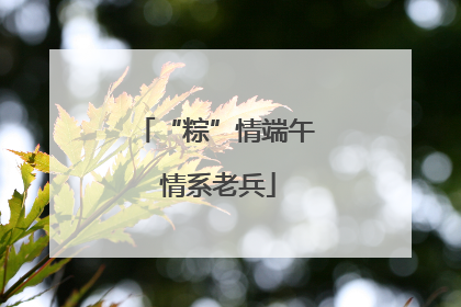 “粽”情端午 情系老兵