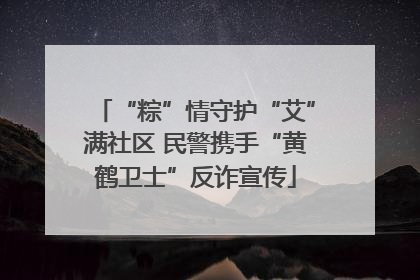 “粽”情守护“艾”满社区 民警携手“黄鹤卫士”反诈宣传