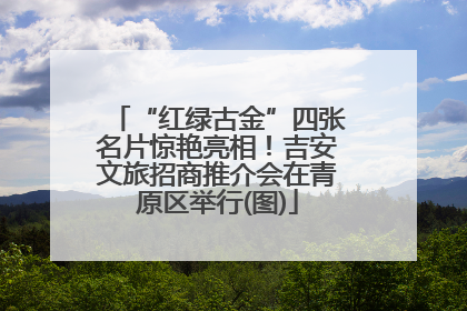 “红绿古金”四张名片惊艳亮相！吉安文旅招商推介会在青原区举行(图)