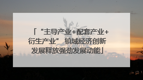 “主导产业+配套产业+衍生产业” 镇域经济创新发展释放强劲发展动能