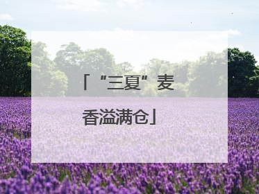 “三夏”麦香溢满仓
