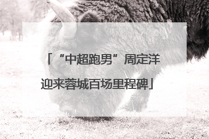 “中超跑男”周定洋迎来蓉城百场里程碑