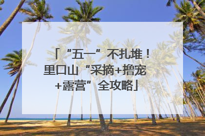 “五一”不扎堆！里口山“采摘+撸宠+露营”全攻略