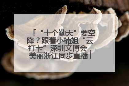 “十个勤天”要空降？跟着小楠姐“云打卡”深圳文博会，美丽浙江同步直播
