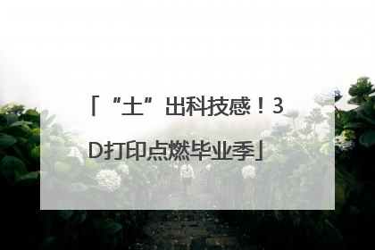 “土”出科技感！3D打印点燃毕业季