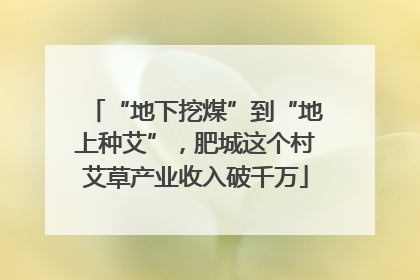 “地下挖煤”到“地上种艾”，肥城这个村艾草产业收入破千万
