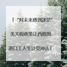 “对未来感到迷茫” 美关税政策让西雅图港口工人生计受冲击