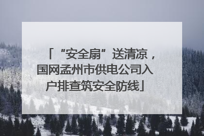 “安全扇”送清凉，国网孟州市供电公司入户排查筑安全防线