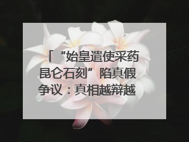 “始皇遣使采药昆仑石刻”陷真假争议：真相越辩越明｜新京报专栏