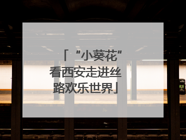 “小葵花”看西安走进丝路欢乐世界