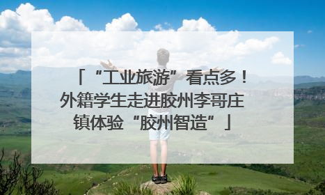 “工业旅游”看点多！外籍学生走进胶州李哥庄镇体验“胶州智造”