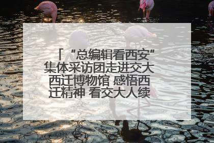“总编辑看西安”集体采访团走进交大西迁博物馆 感悟西迁精神 看交大人续写爱国奋斗新篇章