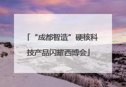 “成都智造”硬核科技产品闪耀西博会