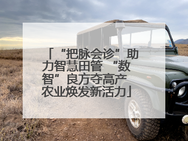 “把脉会诊”助力智慧田管 “数智”良方夺高产 农业焕发新活力