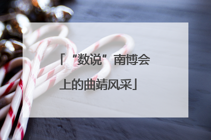 “数说”南博会上的曲靖风采