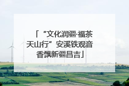 “文化润疆·福茶天山行”安溪铁观音香飘新疆昌吉