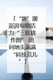 “新”潮澎湃勾勒活力“三夏耕作图” 田间地头满满“科技范儿”