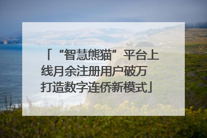“智慧熊猫”平台上线月余注册用户破万 打造数字连侨新模式