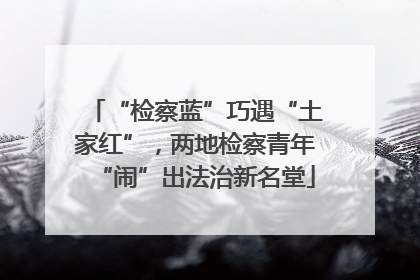 “检察蓝”巧遇“土家红”，两地检察青年“闹”出法治新名堂