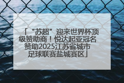 “苏超”迎来世界杯顶级赞助商！悦达起亚冠名赞助2025江苏省城市足球联赛盐城赛区
