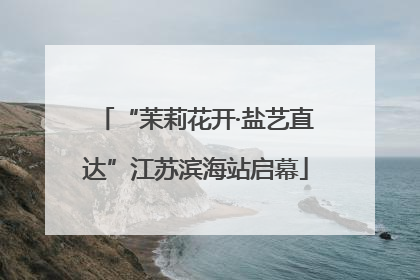 “茉莉花开·盐艺直达”江苏滨海站启幕