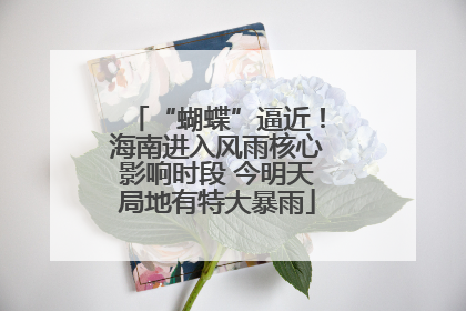 “蝴蝶”逼近！海南进入风雨核心影响时段 今明天局地有特大暴雨