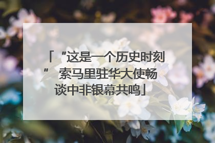 “这是一个历史时刻” 索马里驻华大使畅谈中非银幕共鸣