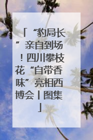 “豹局长”亲自到场！四川攀枝花“自带香味”亮相西博会丨图集