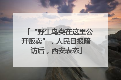 “野生鸟类在这里公开贩卖”，人民日报暗访后，西安表态