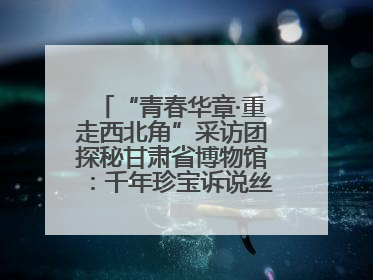 “青春华章·重走西北角”采访团探秘甘肃省博物馆：千年珍宝诉说丝路辉煌