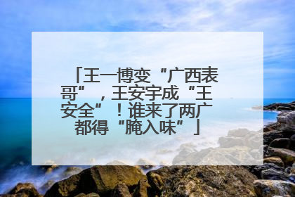 王一博变“广西表哥”，王安宇成“王安全”！谁来了两广都得“腌入味”