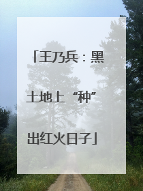 王乃兵：黑土地上“种”出红火日子