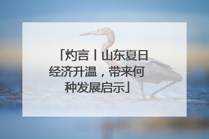 灼言丨山东夏日经济升温，带来何种发展启示