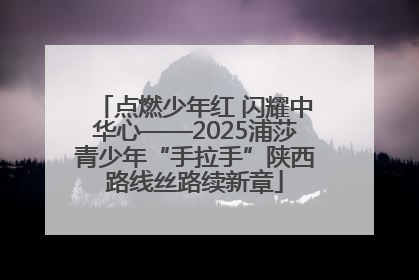 点燃少年红 闪耀中华心——2025浦莎青少年“手拉手”陕西路线丝路续新章