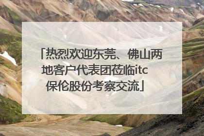 热烈欢迎东莞、佛山两地客户代表团莅临itc保伦股份考察交流