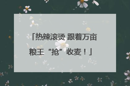热辣滚烫 跟着万亩粮王“抢”收麦！