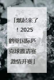 燃起来了！2025鹤壁国际匹克球邀请赛激情开赛