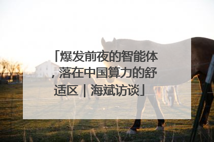 爆发前夜的智能体，落在中国算力的舒适区｜海斌访谈