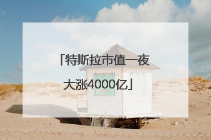 特斯拉市值一夜大涨4000亿
