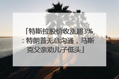 特斯拉股价收涨超3%：特朗普无意沟通，马斯克父亲劝儿子低头