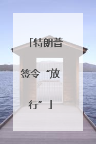 特朗普签令“放行”