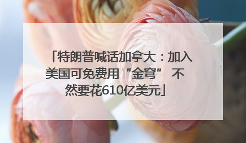 特朗普喊话加拿大：加入美国可免费用“金穹” 不然要花610亿美元