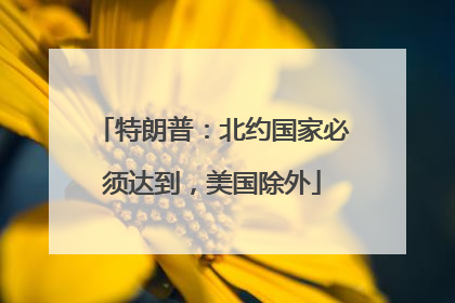 特朗普：北约国家必须达到，美国除外